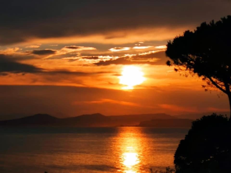 Ischia - Panoramic Apartment On The Sea 拉科阿梅诺 外观 照片